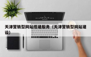 武义县天津营销型网站搭建服务（天津营销型网站建设）
